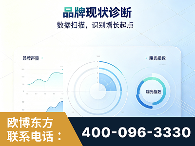海宁-品牌现状诊断