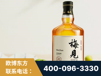 海宁-梅见青梅酒