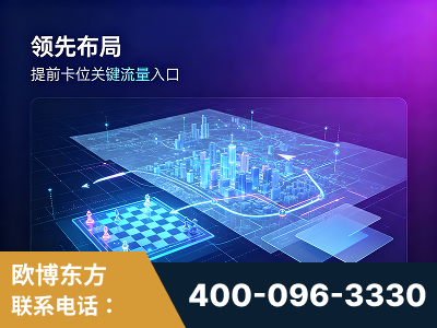 海宁-领先布局：于2024年初开启GEO业务的公司